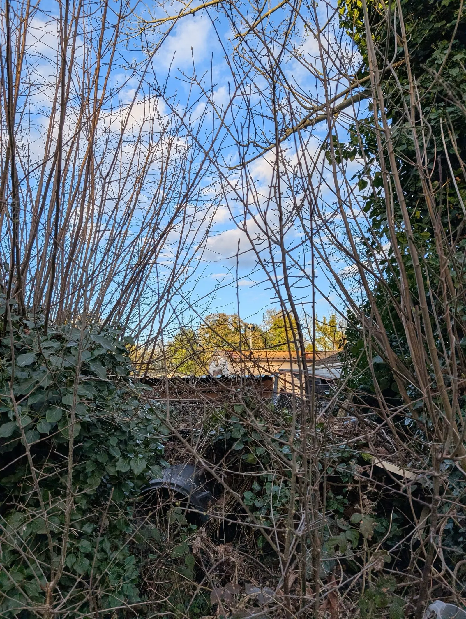 Gartenfläche vor der Neugestaltung (Beispielprojekt)