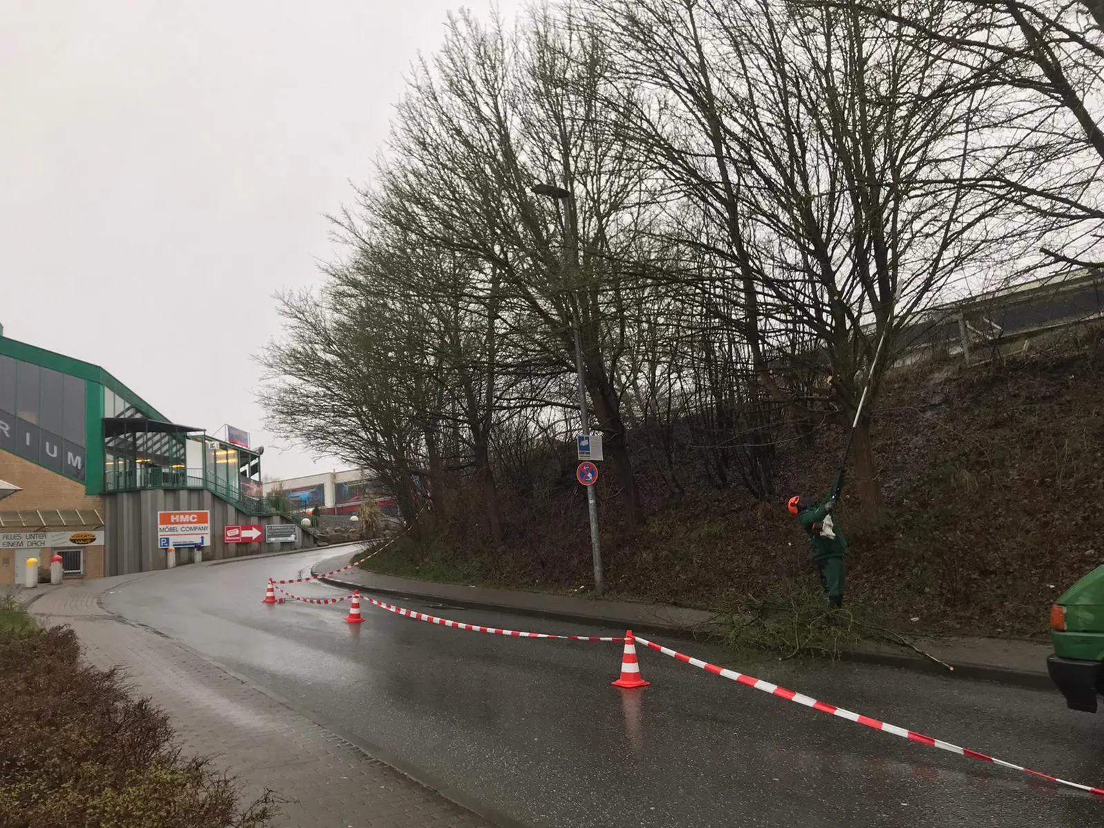 Baumpflege mit dem Hochentaster an einer Straßenallee