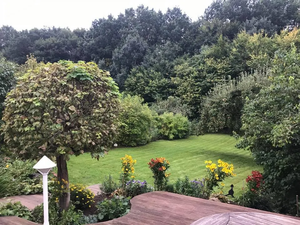 Gepflegte Terrasse mit Holzdielen und Sommerblumenbeeten